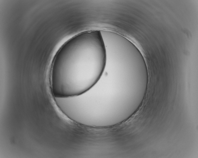 X0000111461152200908241314