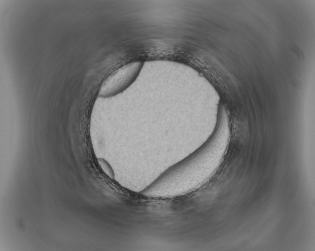X0000111461153200908241313