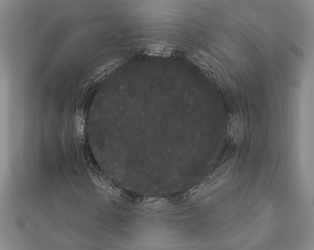X0000111461154200908241313