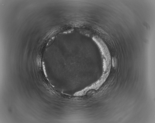 X0000111461155200908241313