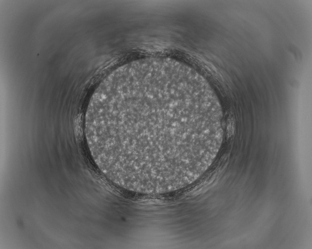 X0000111461156200908241313