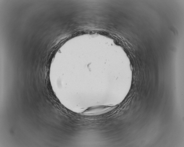 X0000111461157200908241313