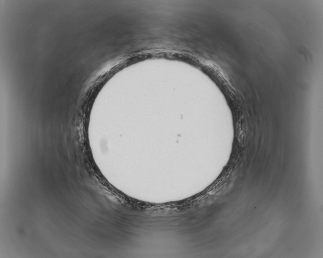 X0000111461159200908241313