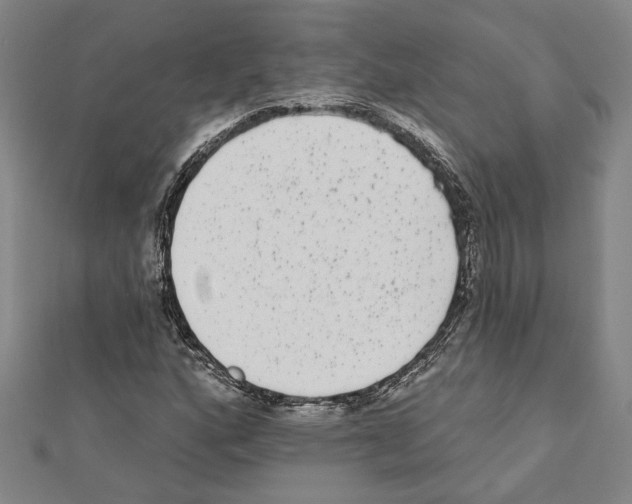X0000111461160200908241313