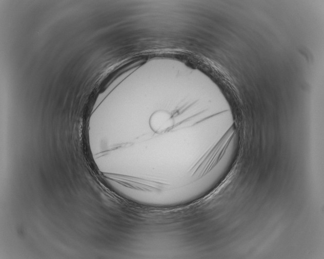 X0000111461161200908241313