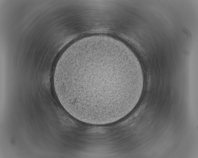 X0000111461162200908241313