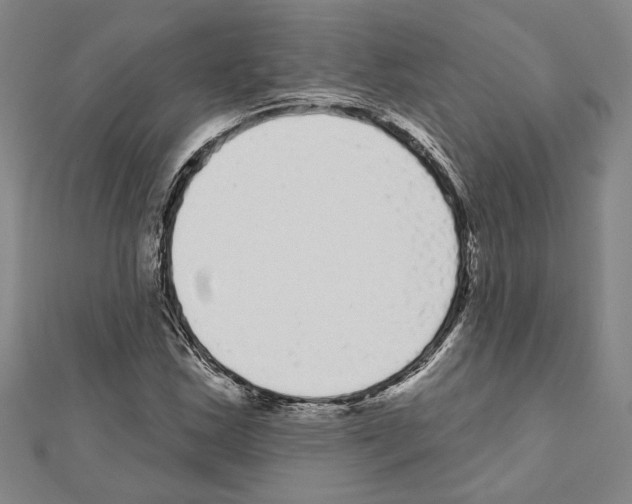 X0000111461163200908241313