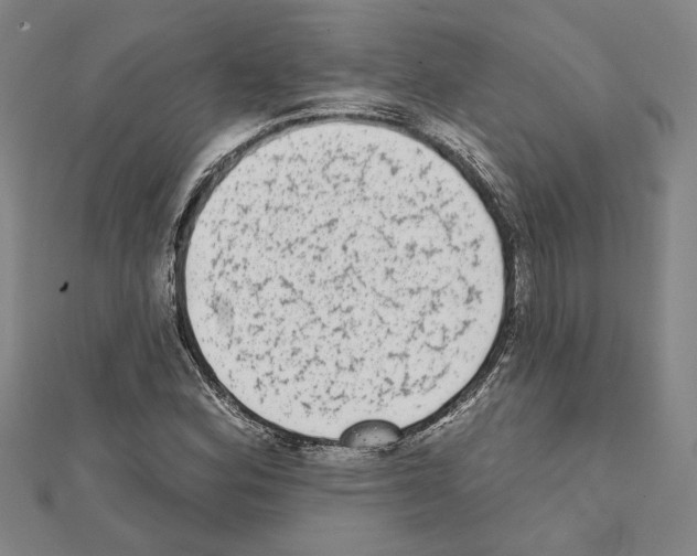 X0000111461164200908241313