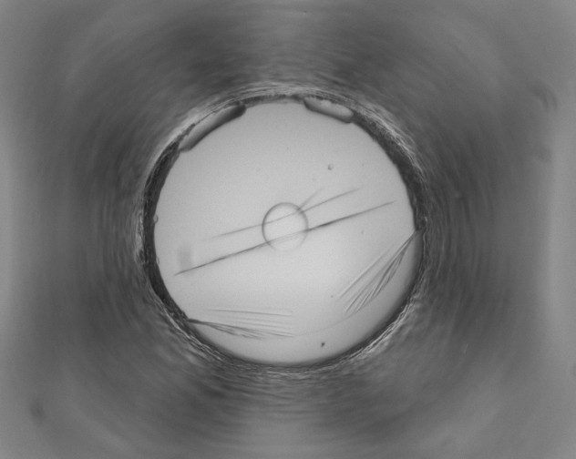 X0000111461165200908241313
