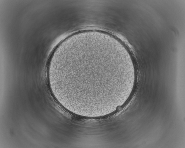 X0000111461167200908241313