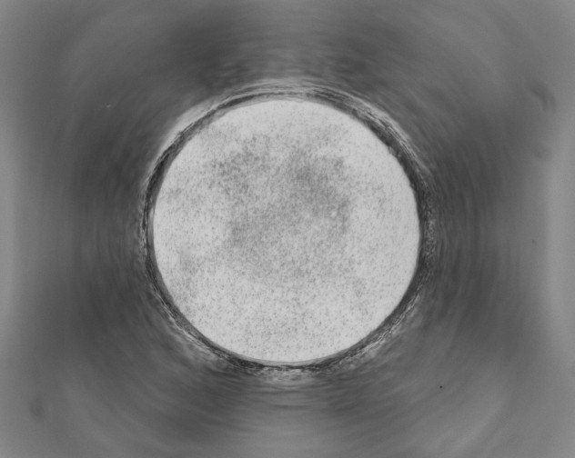 X0000111461168200908241313