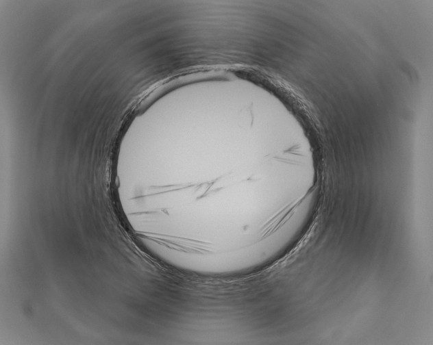 X0000111461169200908241313