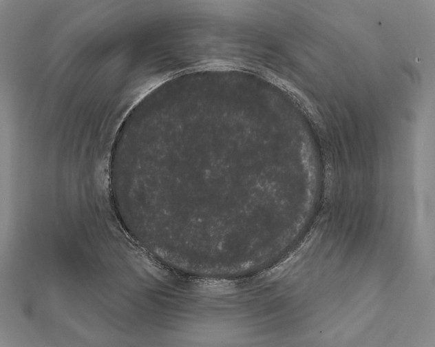 X0000111461170200908241313