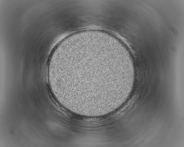 X0000111461171200908241313