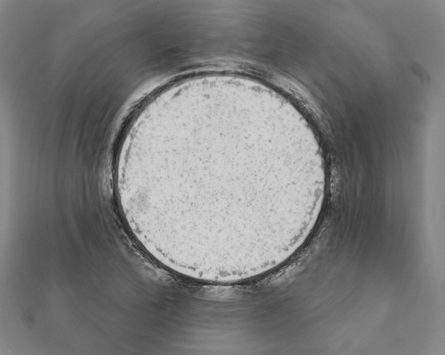 X0000111461172200908241313