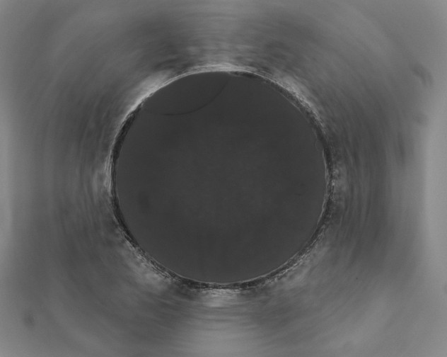 X0000111461173200908241313