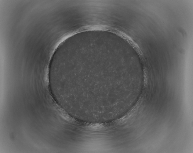 X0000111461174200908241313