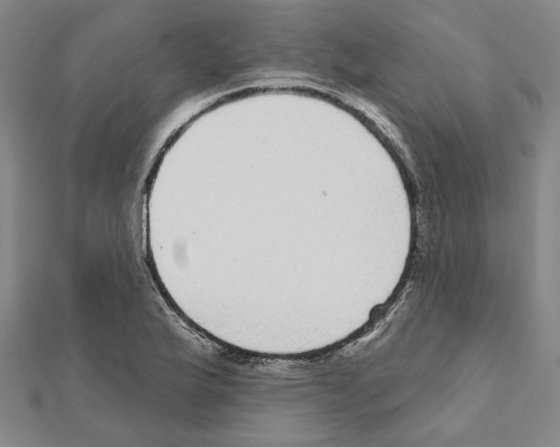 X0000111461175200908241313
