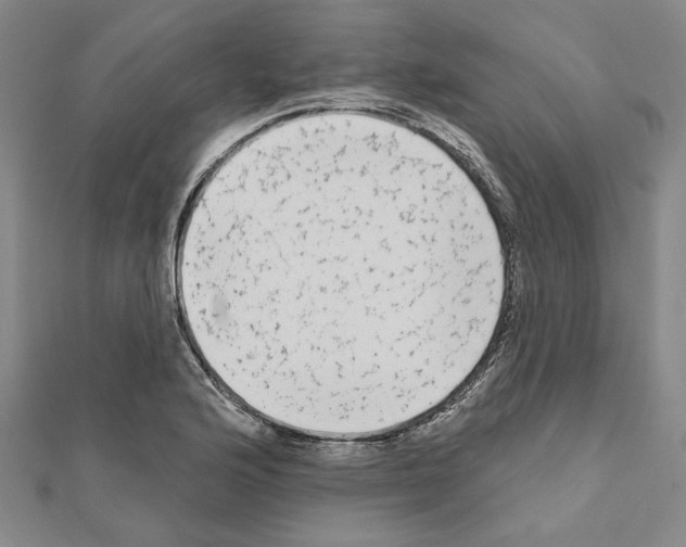 X0000111461176200908241313