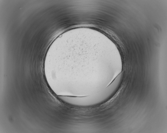 X0000111461177200908241313