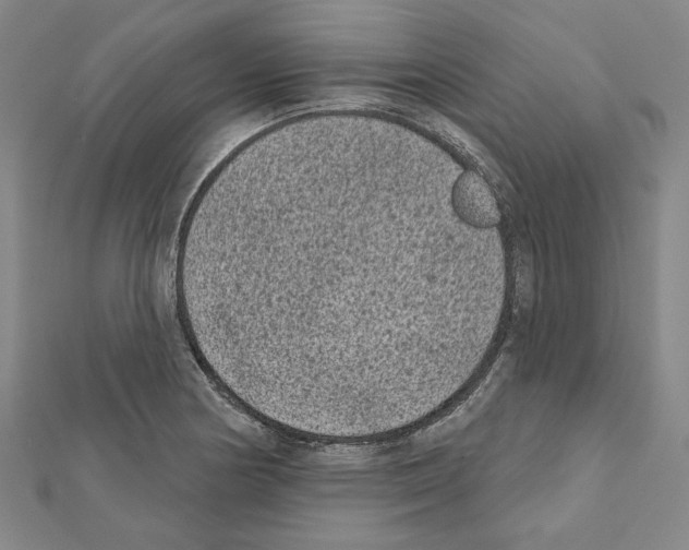 X0000111461178200908241313