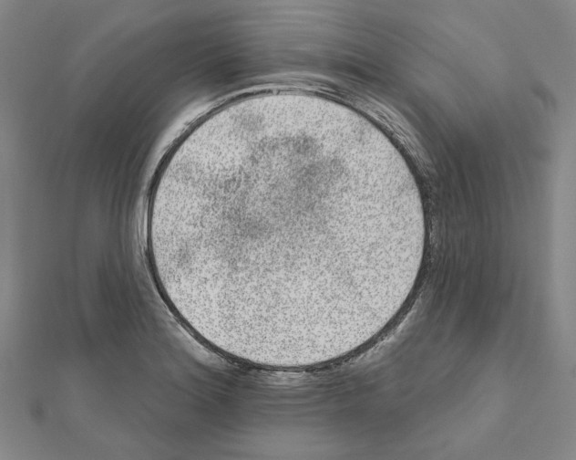 X0000111461180200908241313