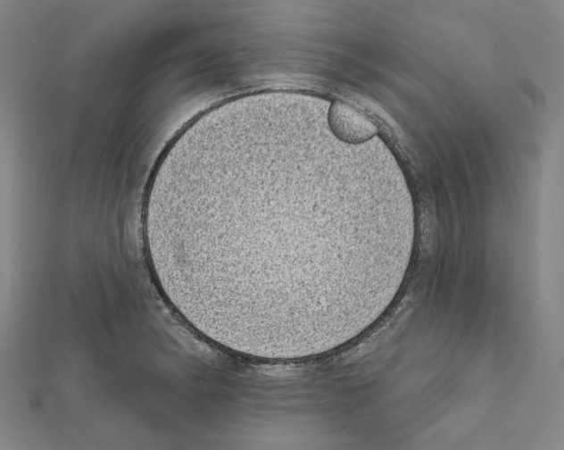 X0000111461182200908241313