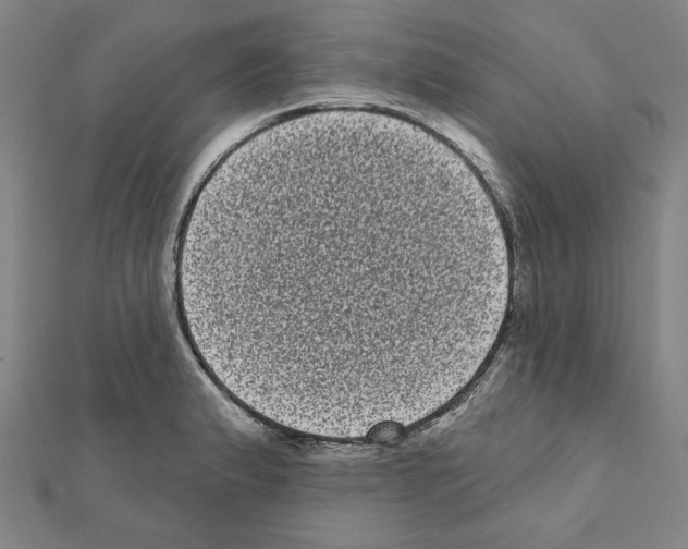 X0000111461183200908241313