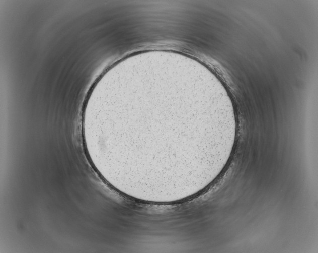 X0000111461184200908241313