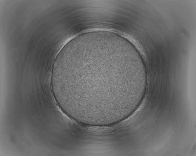 X0000111461185200908241313