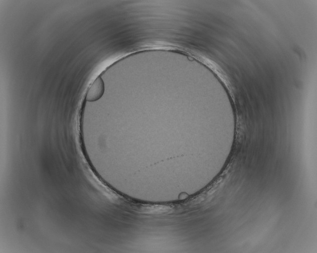 X0000111461187200908241313
