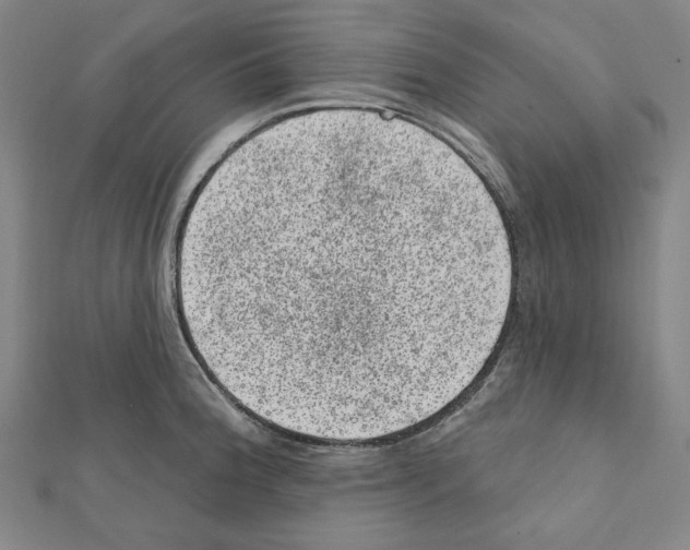 X0000111461188200908241313