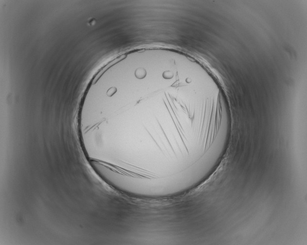 X0000111461189200908241313