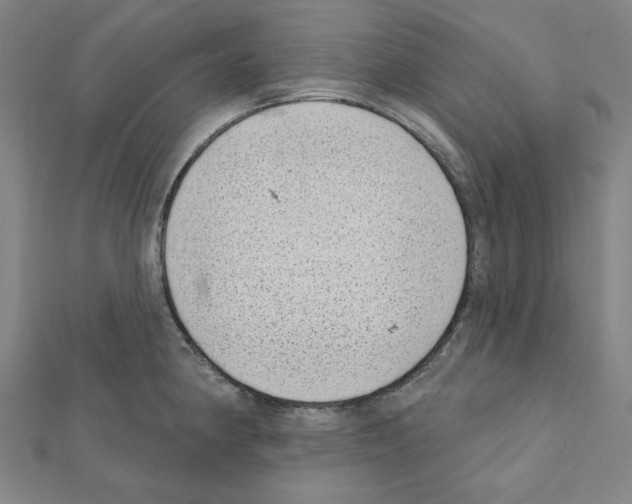 X0000111461190200908241313