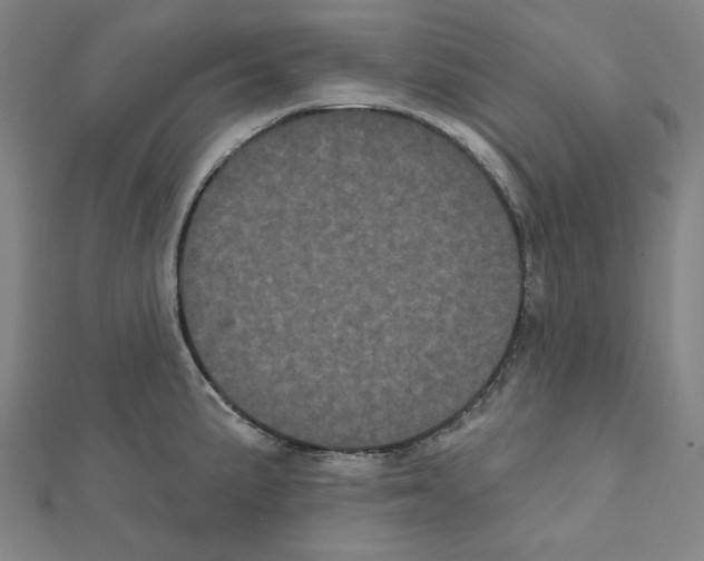 X0000111461191200908241313