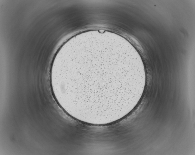 X0000111461192200908241313