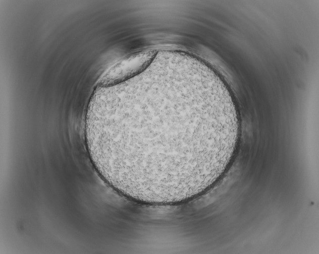 X0000111461193200908241313