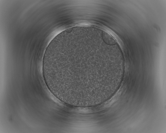 X0000111461194200908241313