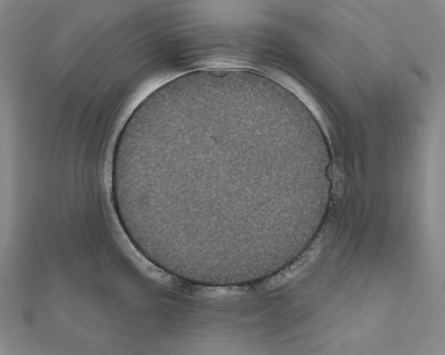X0000111461195200908241313