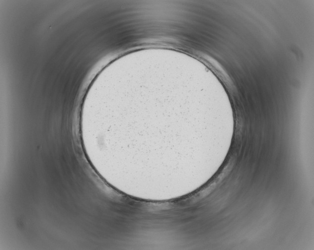 X0000111461196200908241313