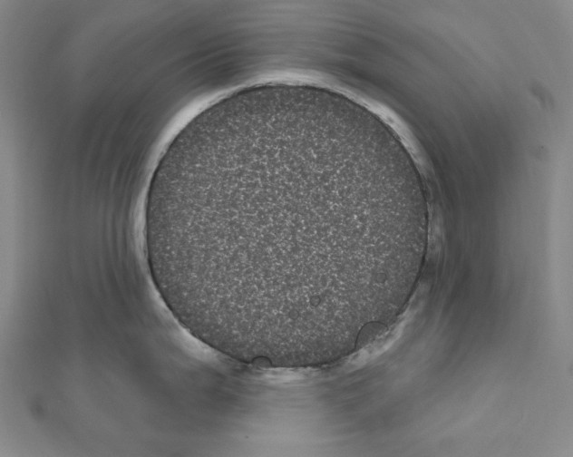X0000111461199200908241313
