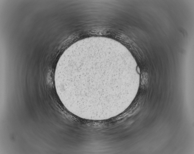 X0000111461202200908241312