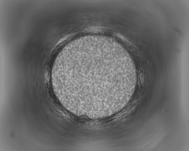X0000111461206200908241312