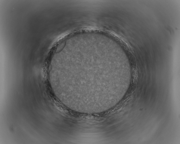 X0000111461207200908241312