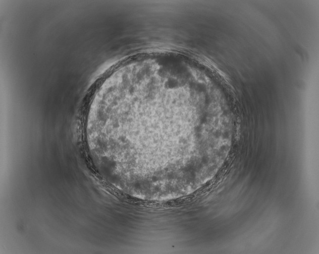 X0000111461208200908241312