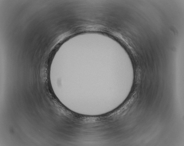 X0000111461211200908241312