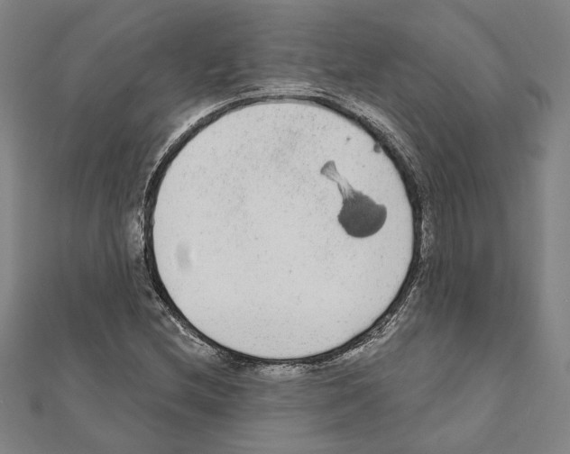 X0000111461212200908241312