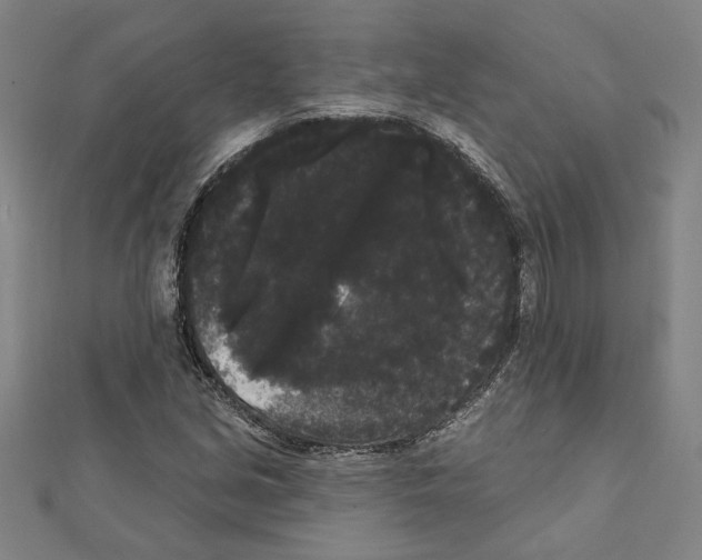 X0000111461213200908241312