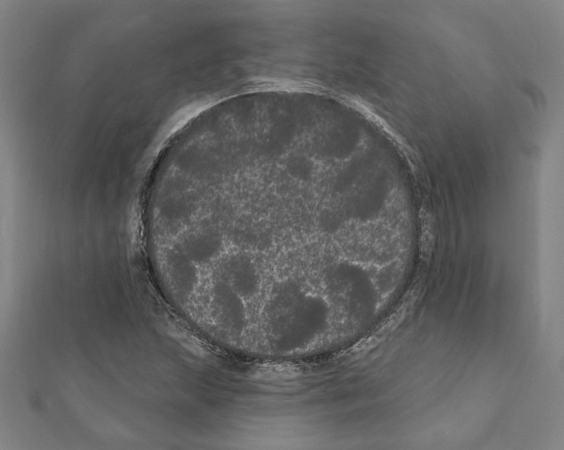X0000111461215200908241312
