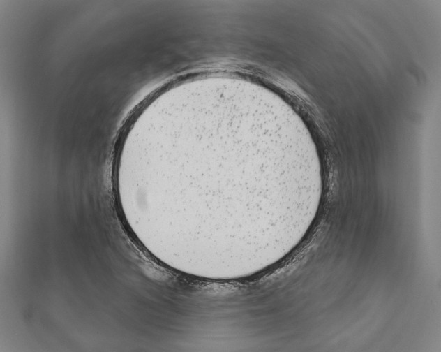 X0000111461216200908241312